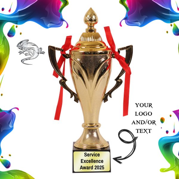 Mystic Cup Trophy 24cm