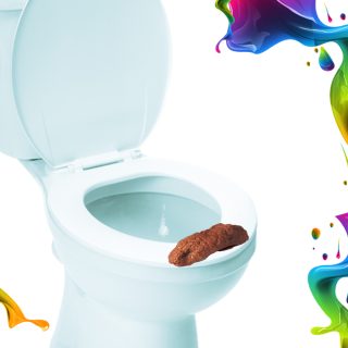 Funny Realistic Fake Floating Poop
